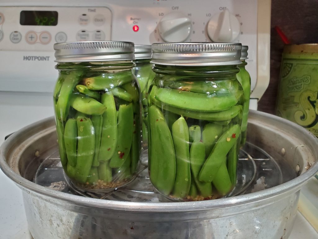 Canning Sugar Snap Peas Countryside